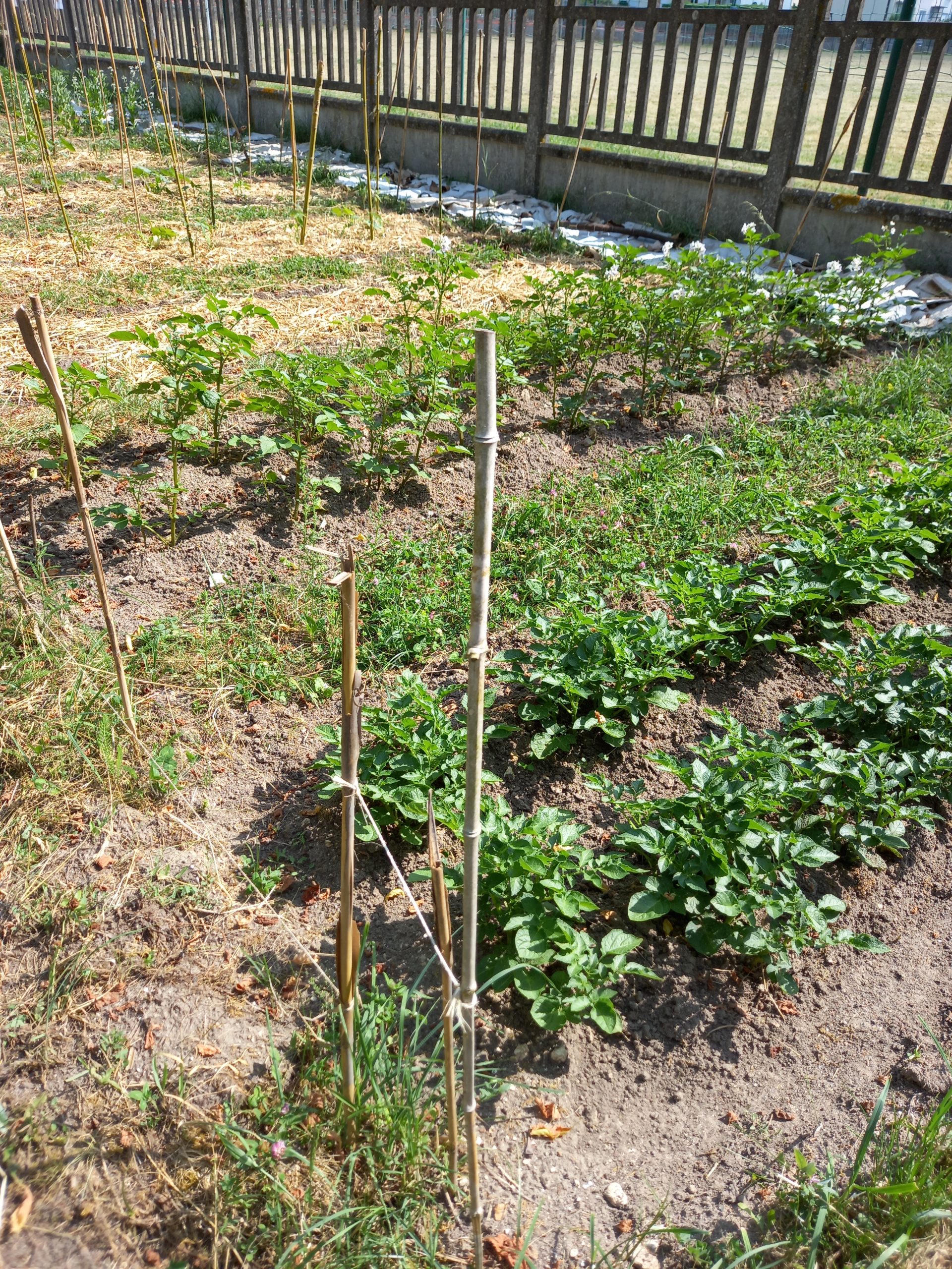Le jardin des Ecouardes