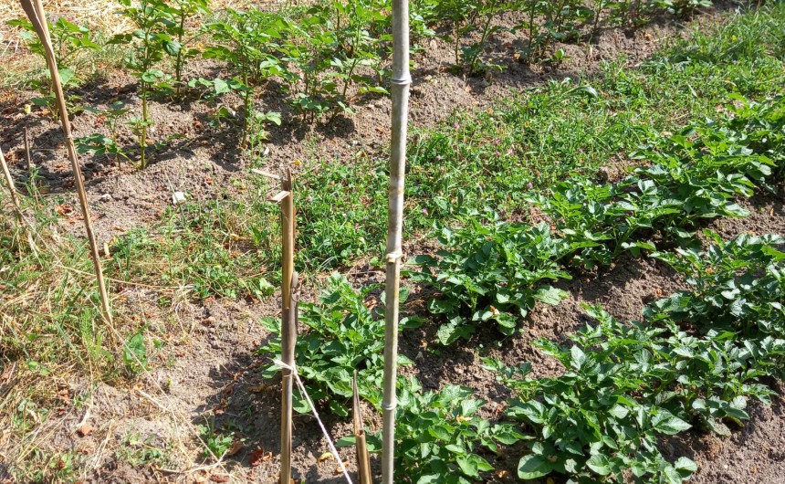 Jardin des possibles