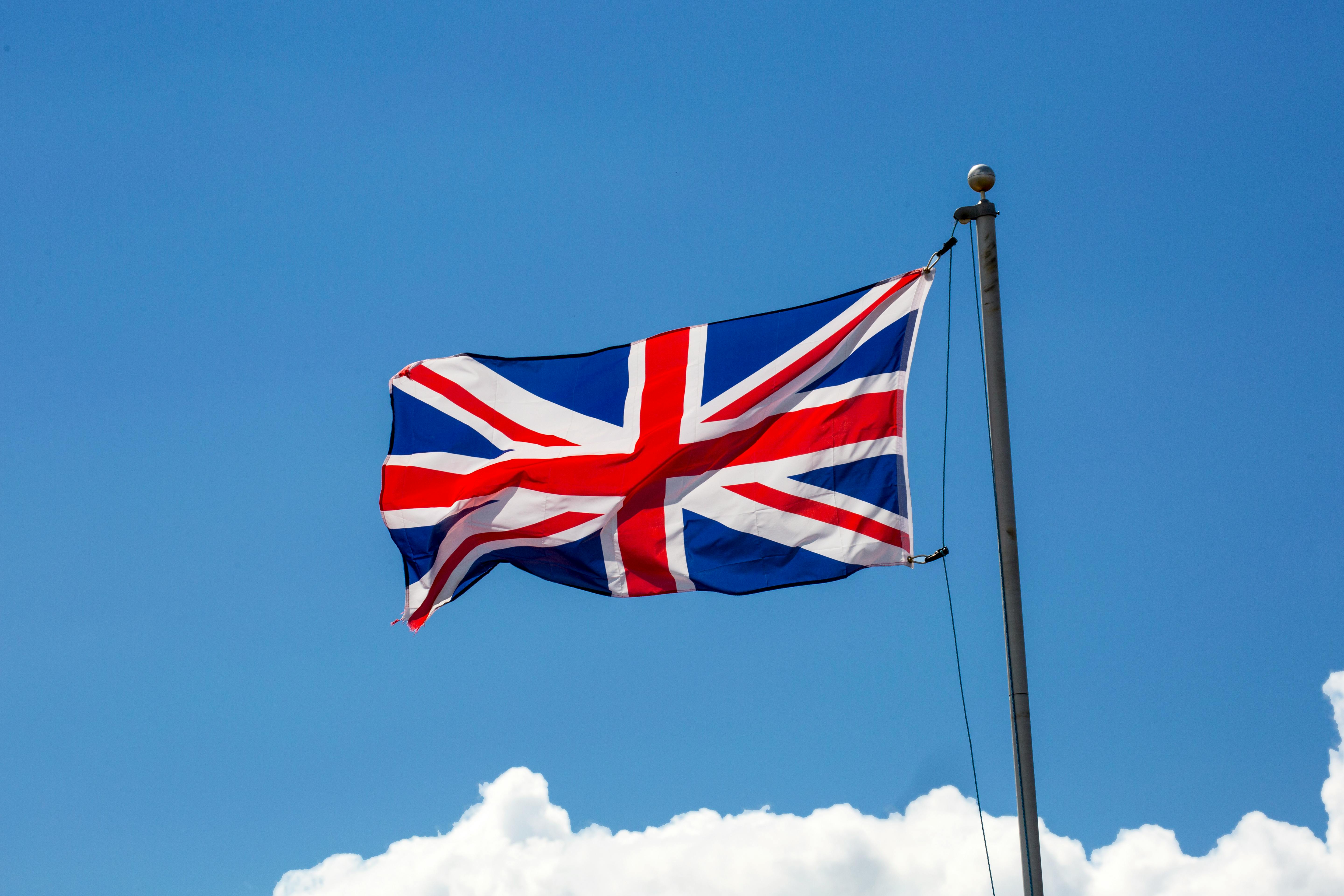 Anglais adultes