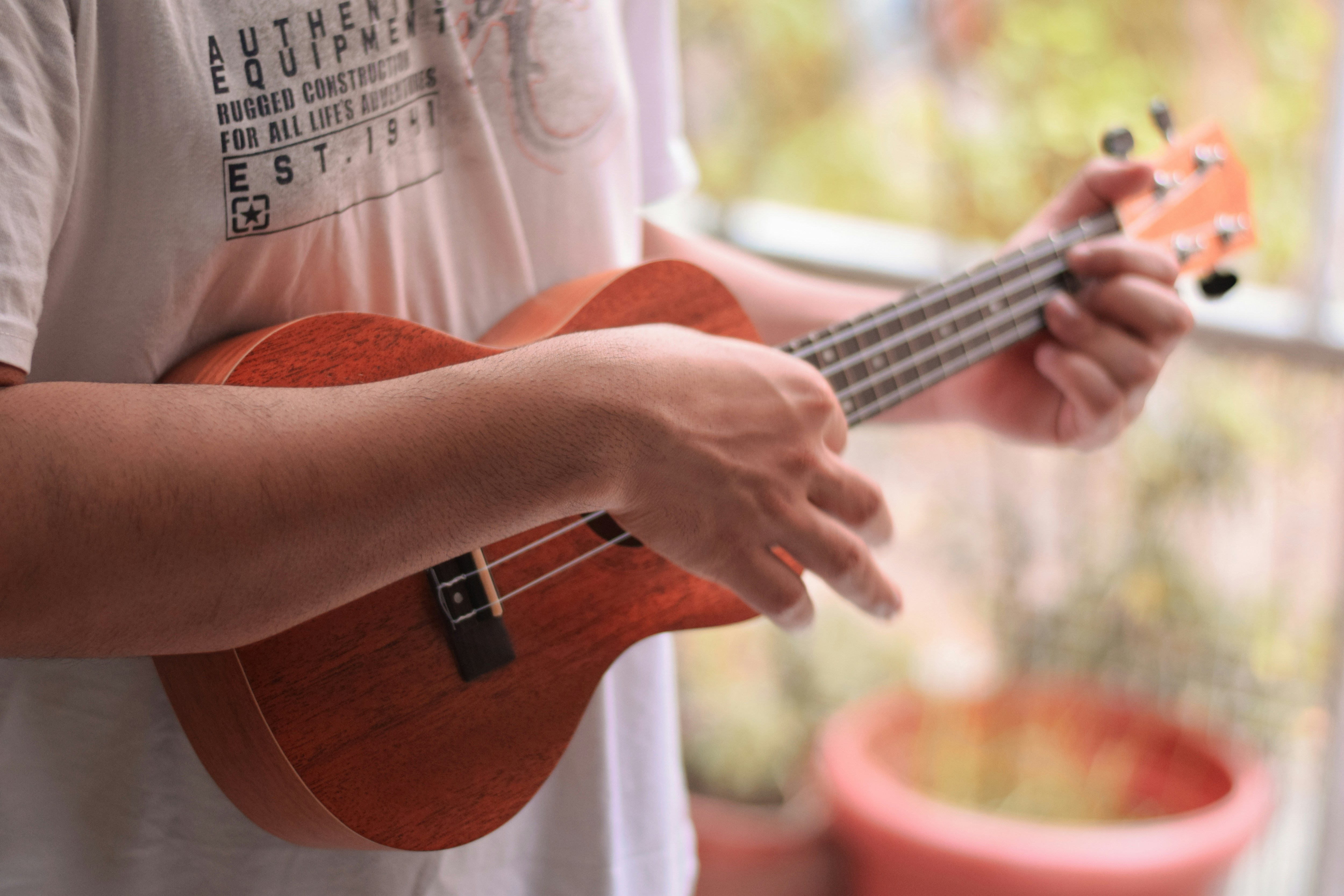 Ukulele adultes