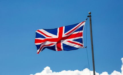 Anglais adultes