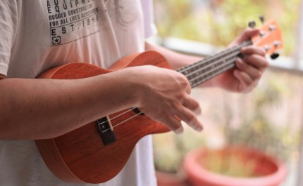 Ukulele adultes